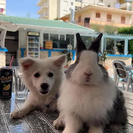 Adriatik 호텔 오리쿰