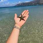 Adriatik Hotel *