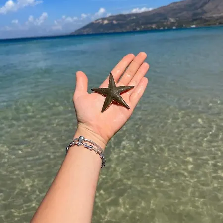 Adriatik ホテル *