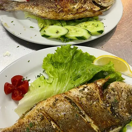 Adriatik מלון